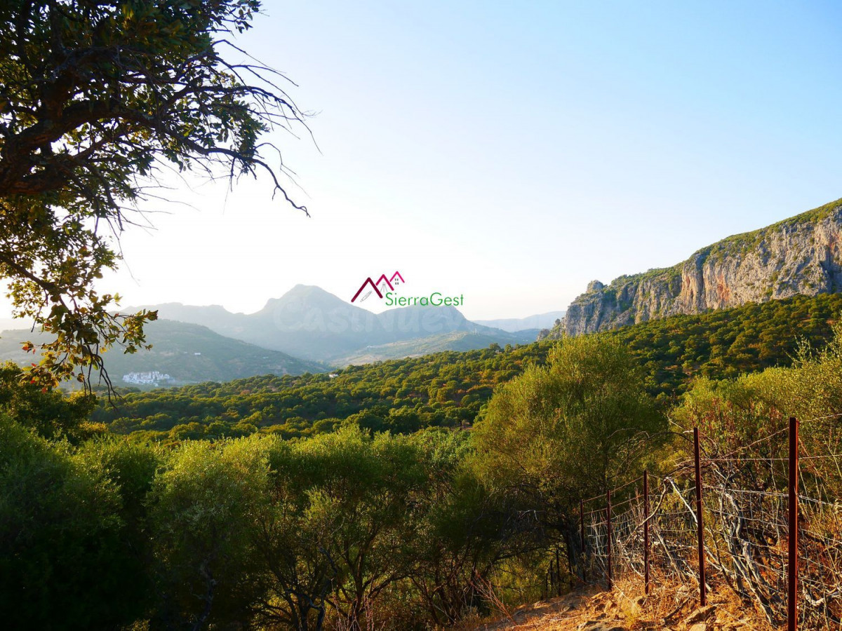 VENTA FINCA ALREDEDORES UBRIQUE