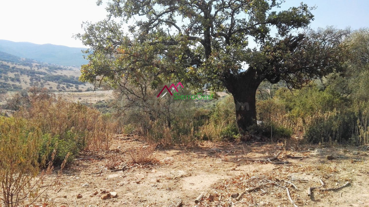 VENTA PARCELA ALREDEDORES UBRIQUE