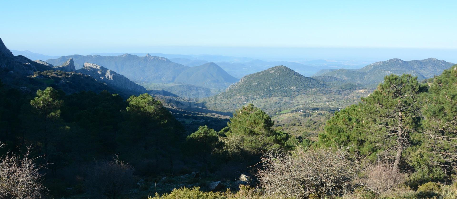 VENTA PARCELA ALREDEDORES DE EL BOSQUE
