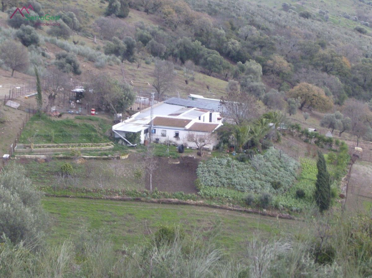 VENTA FINCA RÚSTICA CRTRA. EL BOSQUE - UBRIQUE