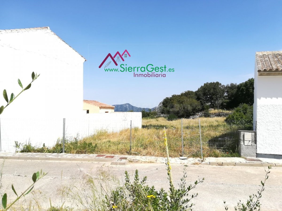VENTA SOLAR BENAOCAZ