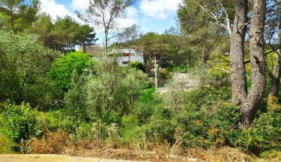 Terreno en venta en Mas Mestre. Olivella