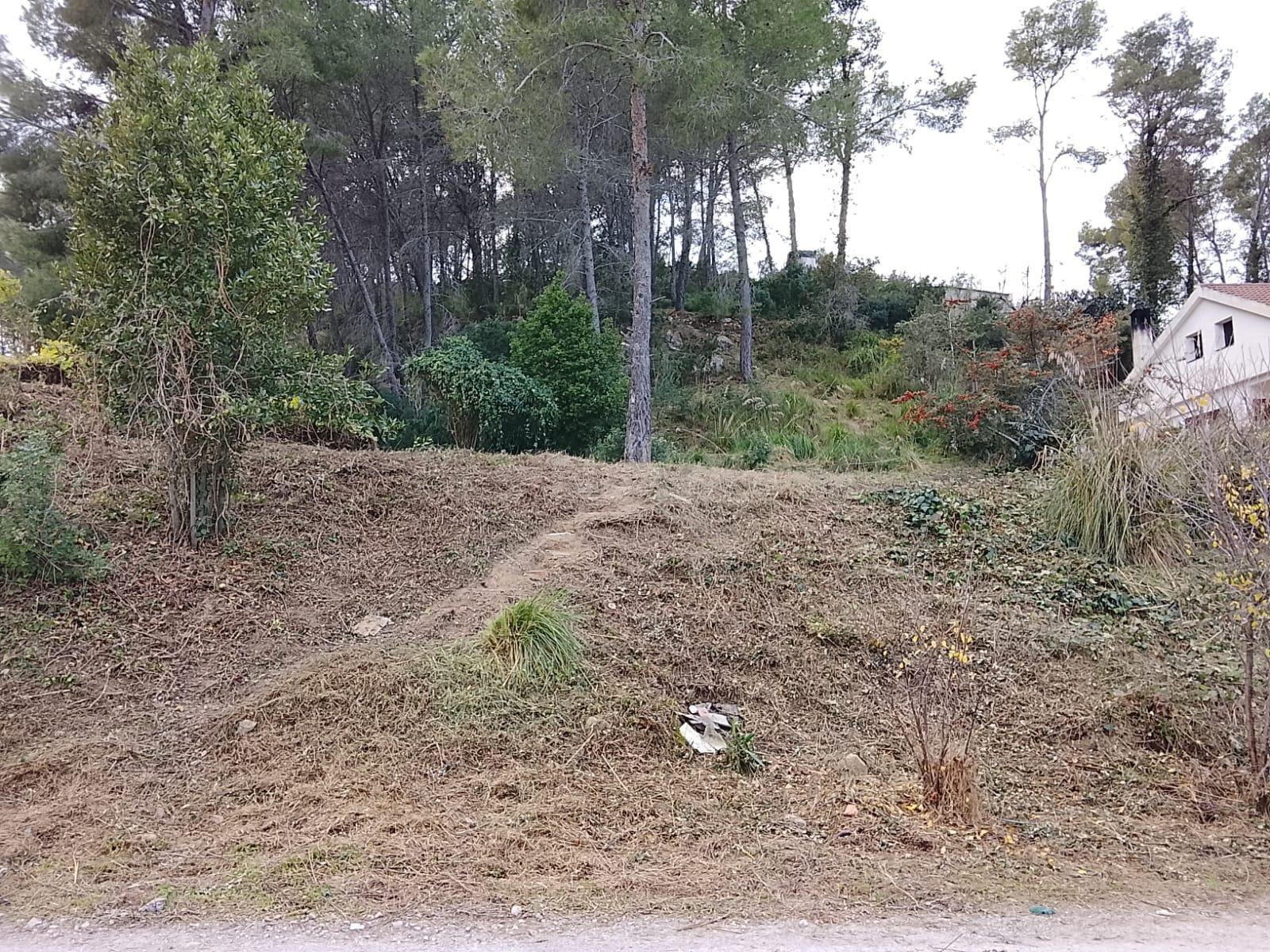 Terreno Rústico en Sant Pere de Ribes