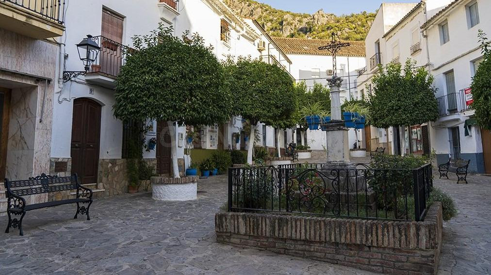 VENTA EDIFICIO. ZONA AYUNTAMIENTO