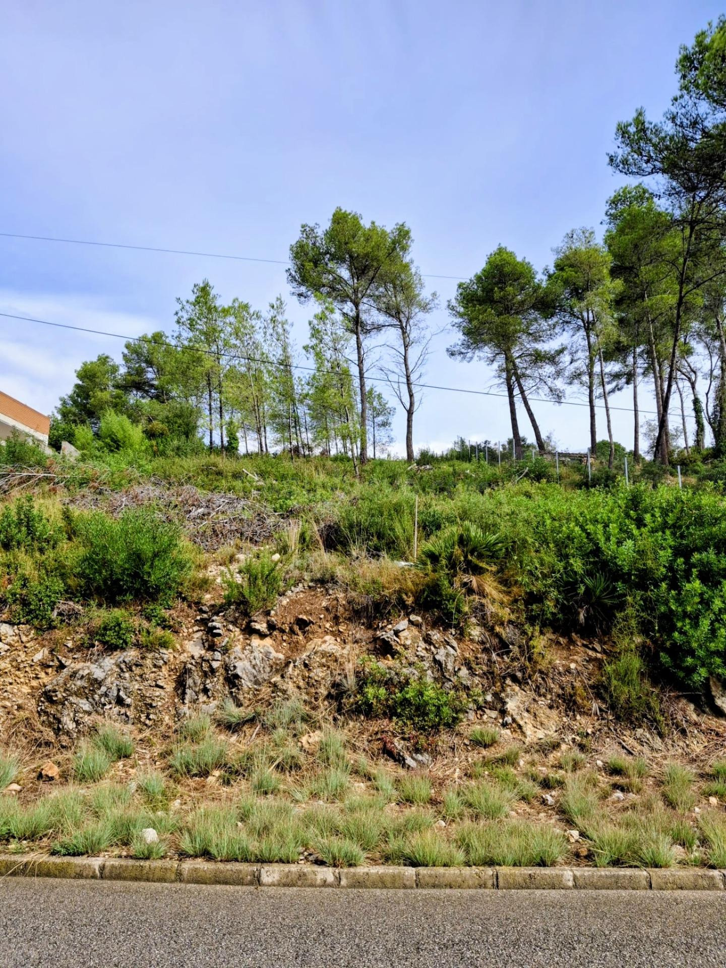 Terreno urbano en venta en Can Suria