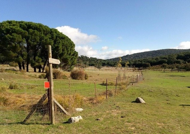 VENTA PARCELA CON CASA Y POZO