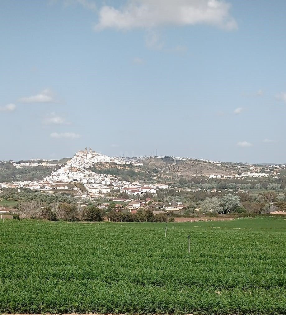 VENTA PARCELA ARCOS DE LA FRA.