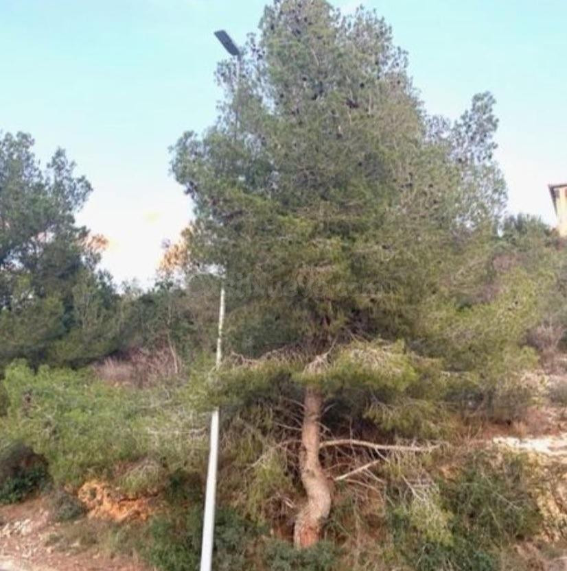 Parcela en venta en Segur de Calafell
