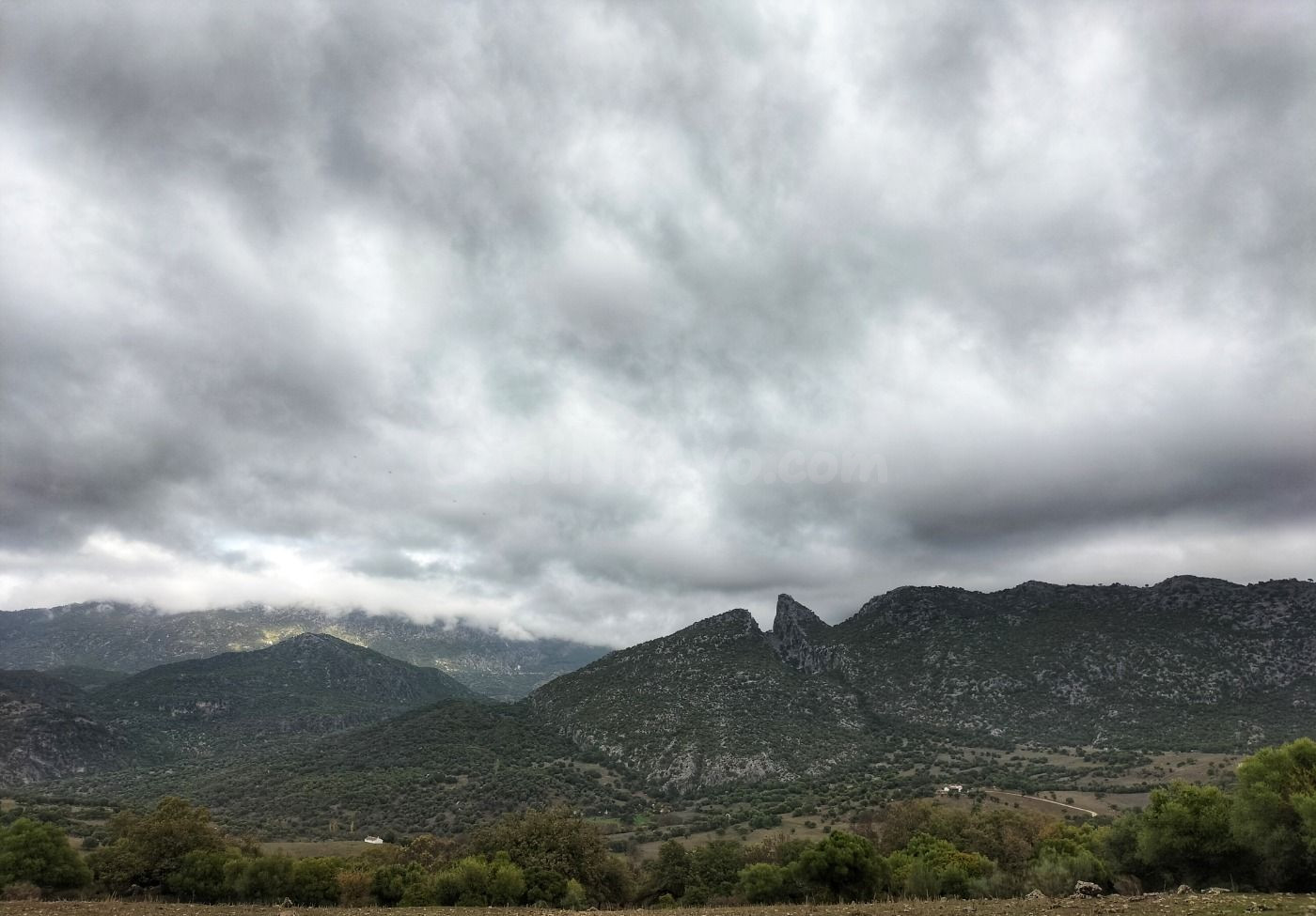VENTA FINCA RÚSTICA. ALREDEDORES DE UBRIQUE.