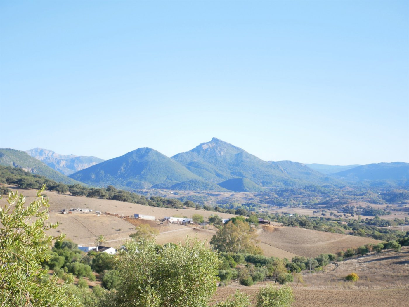 VENTA PARCELA PRADO DEL REY