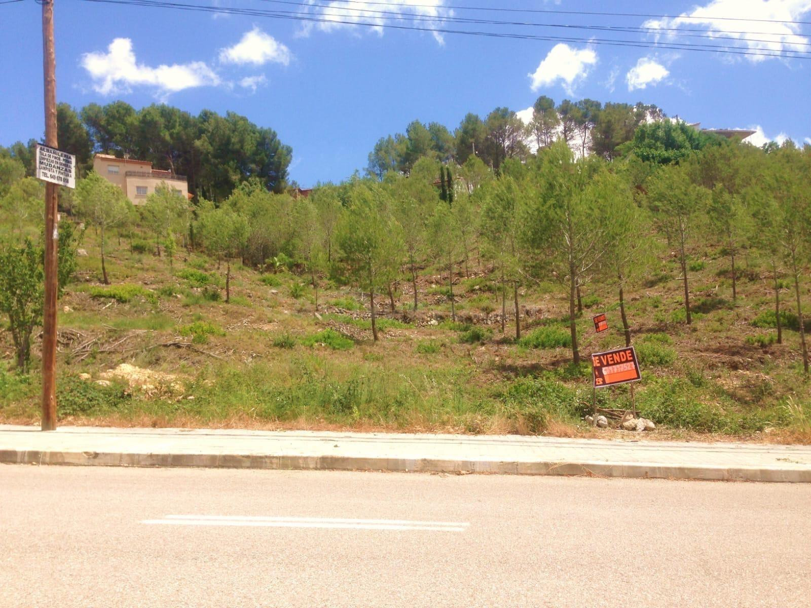 Terreno urbano. Olivella
