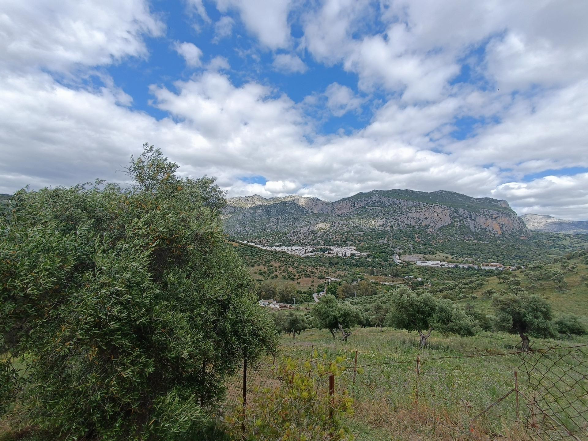 VENTA FINCA RÚSTICA. CERRO MULERA