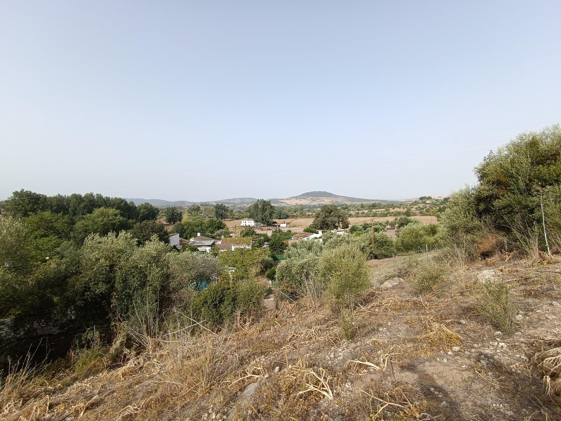 VENTA PARCELA ALREDEDORES DE EL BOSQUE
