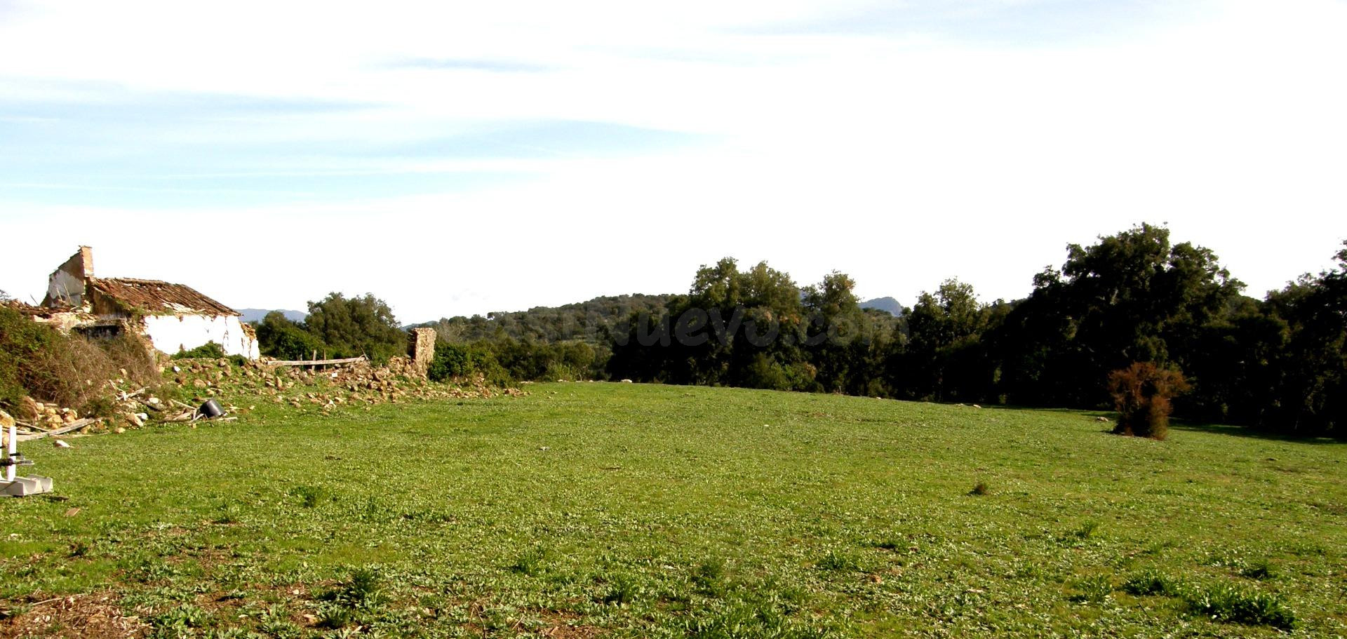 PARCELA