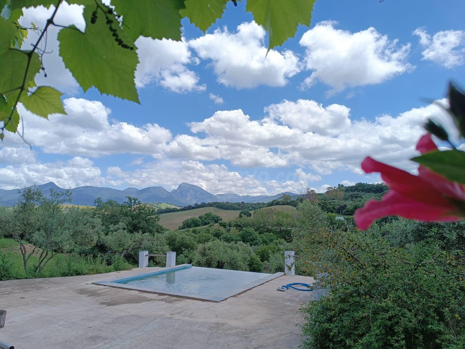 VENTA PARCELA CON CASA Y PISCINA.ZONA PRADO DEL REY