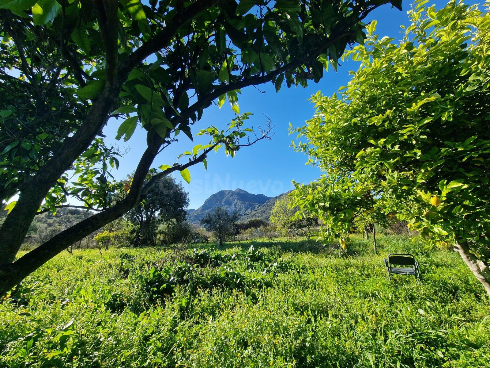 VENTA FINCA CON CASA. ALREDEDORES UBRIQUE.
