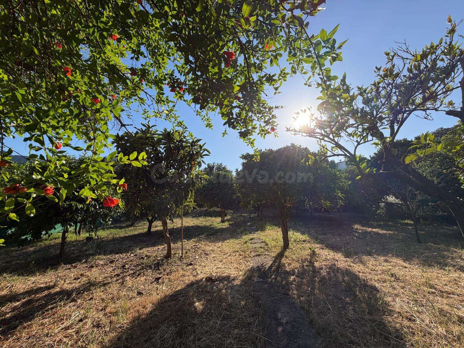 VENTA PARCELA CON CASA. ALREDEDORES UBRIQUE