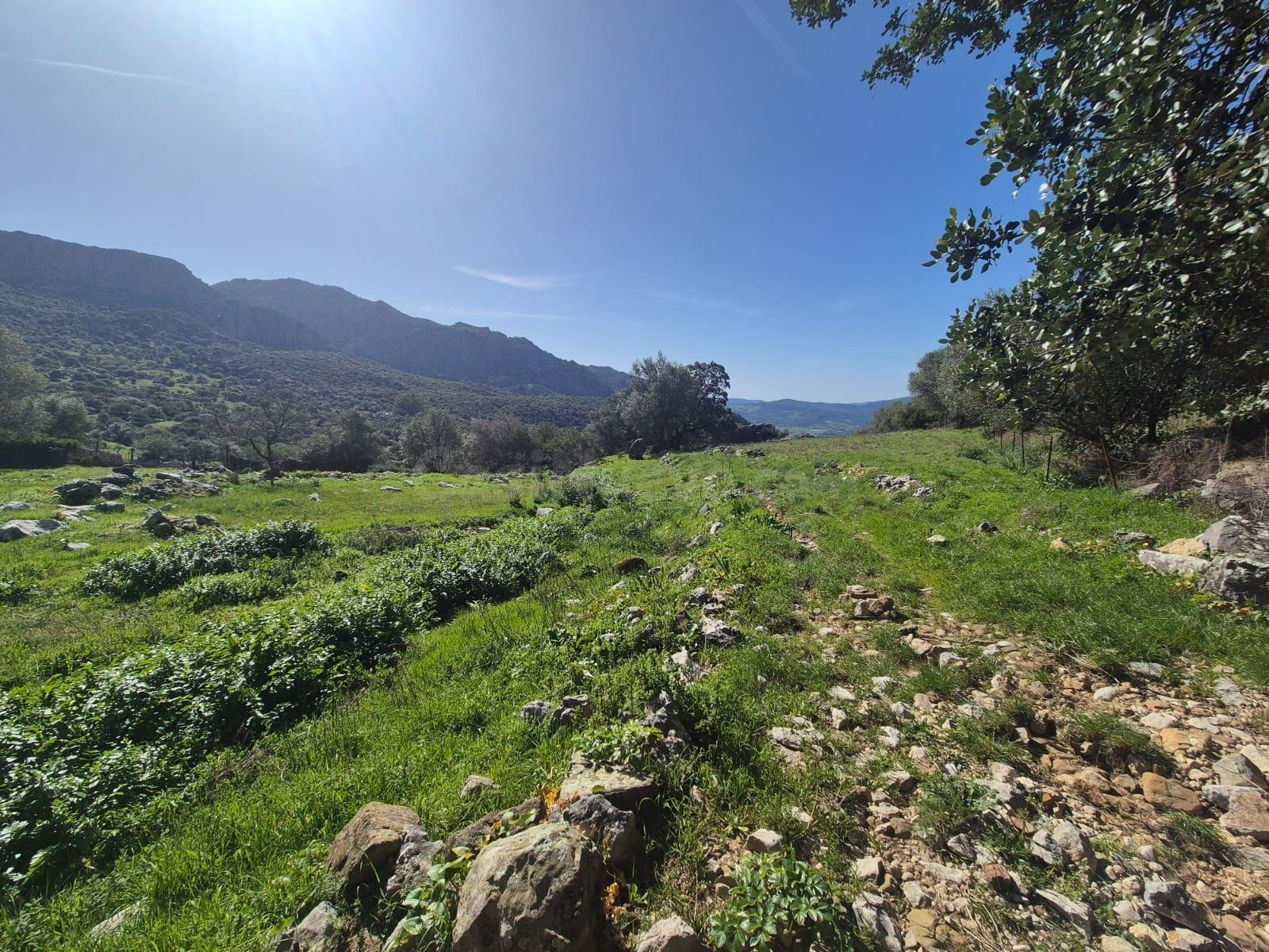 PARCELA EN VENTA EN BENAOCAZ