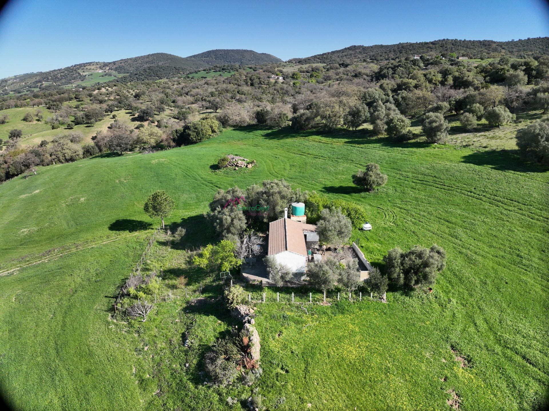 FANTASTICA FINCA EN PRADO DEL REY
