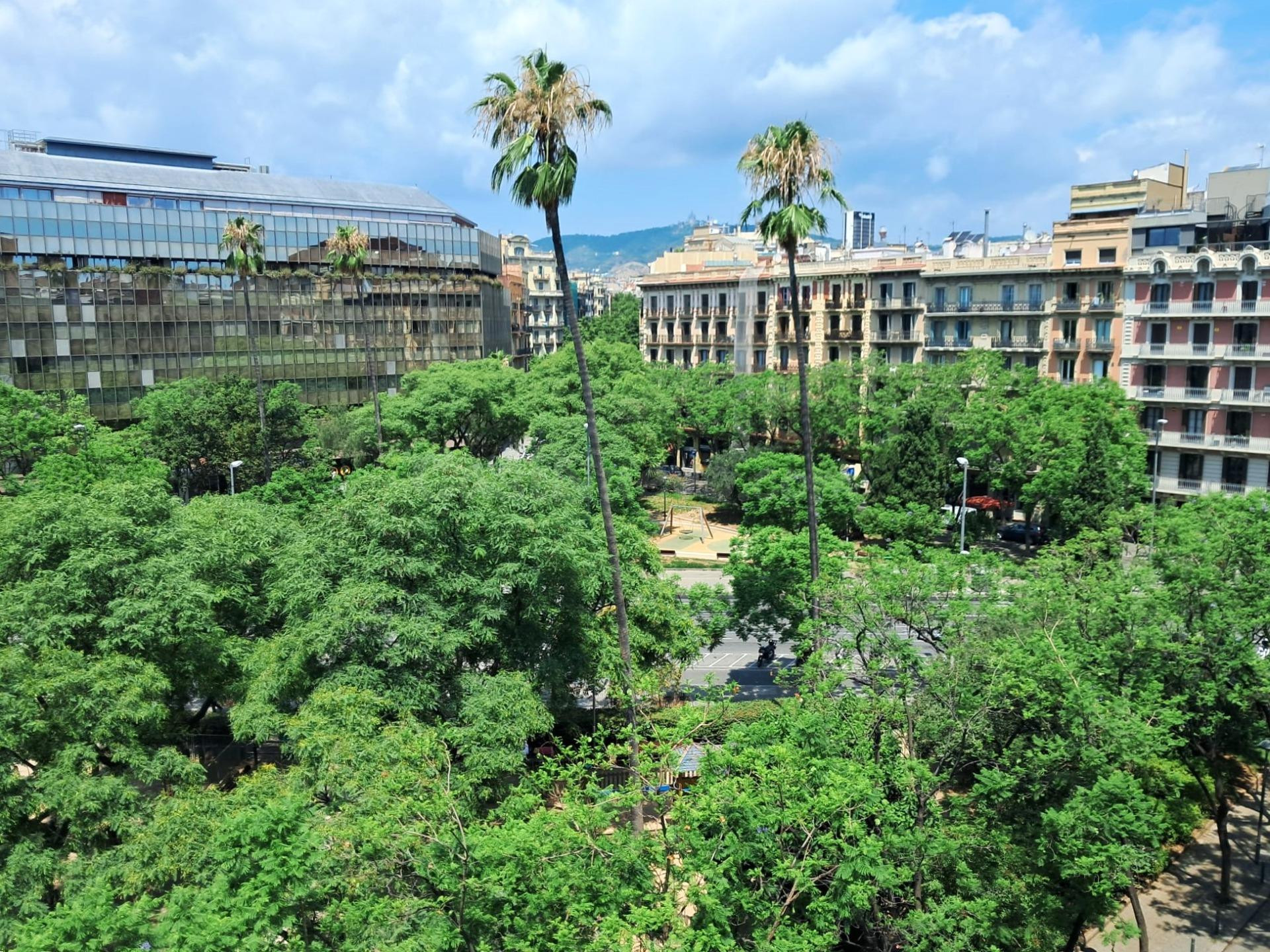 OFICINAS EN ALQUILER – PLAZA LETAMENDI (BARCELONA) - foto 3