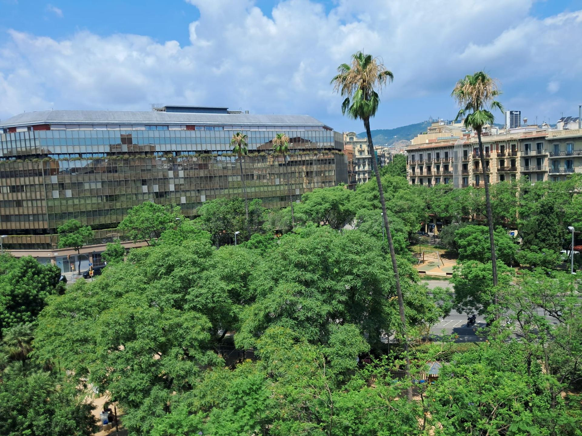 OFICINAS EN ALQUILER – PLAZA LETAMENDI (BARCELONA) - foto 5