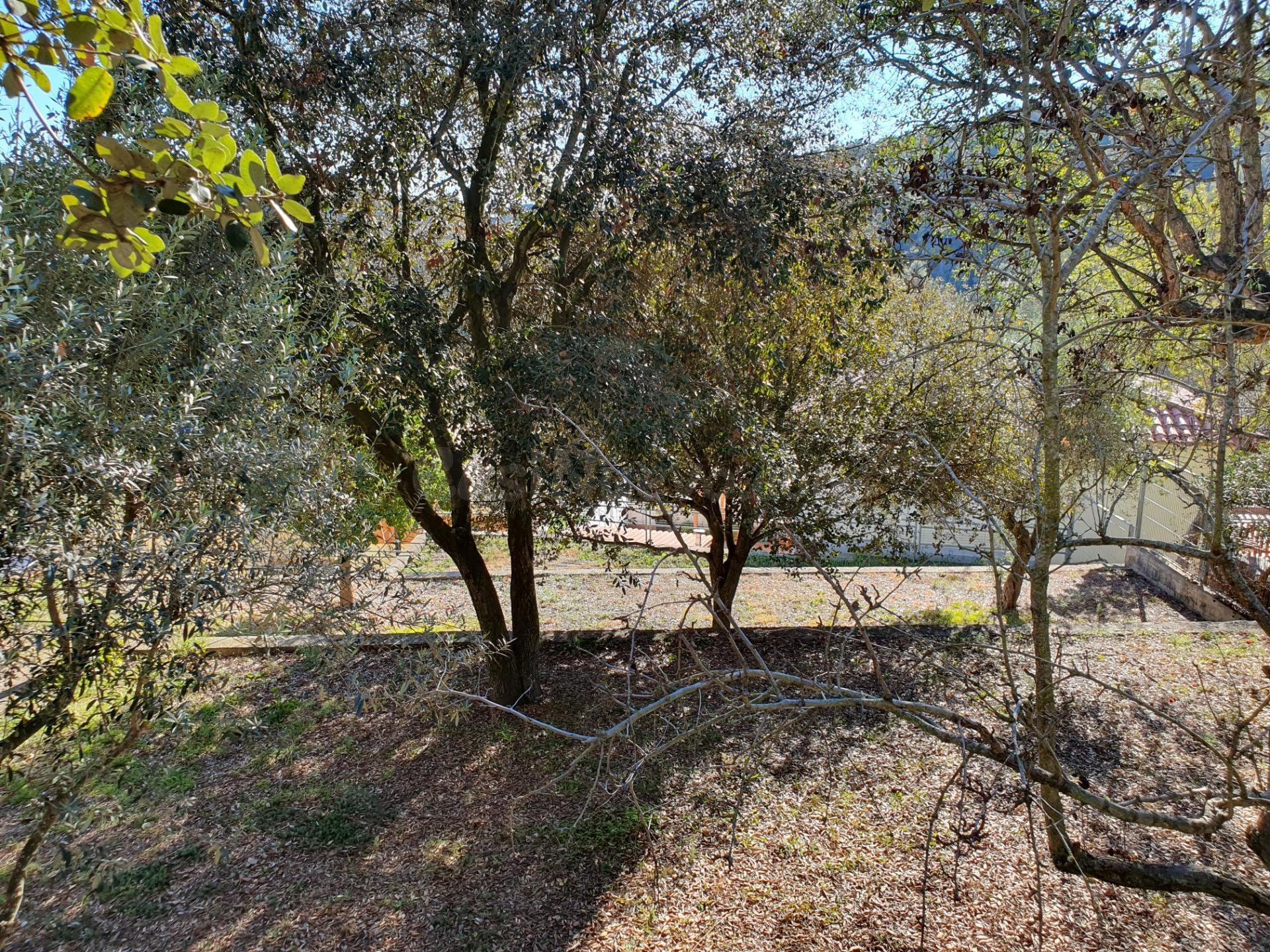 ¡Oportunidad Única! Terreno Edificable en el Baixador de Vallvidrera con Vistas a Collserola