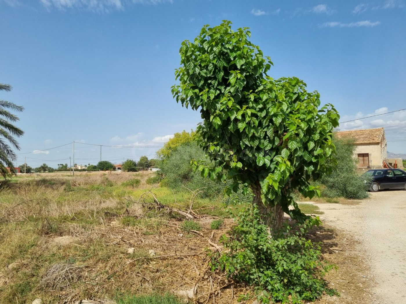 Casa para reformar con 7500 m2 de parcela