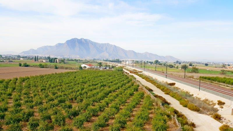 Finca Rústica en Callosa de Segura