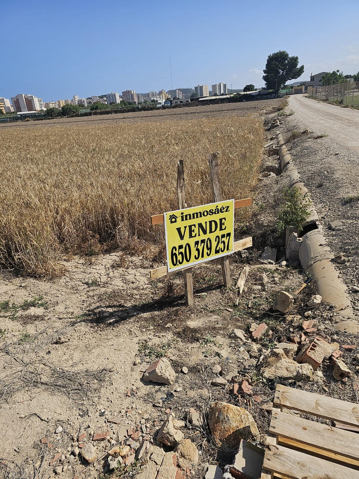 Parcela rústica agraria en la huerta de Guardamar