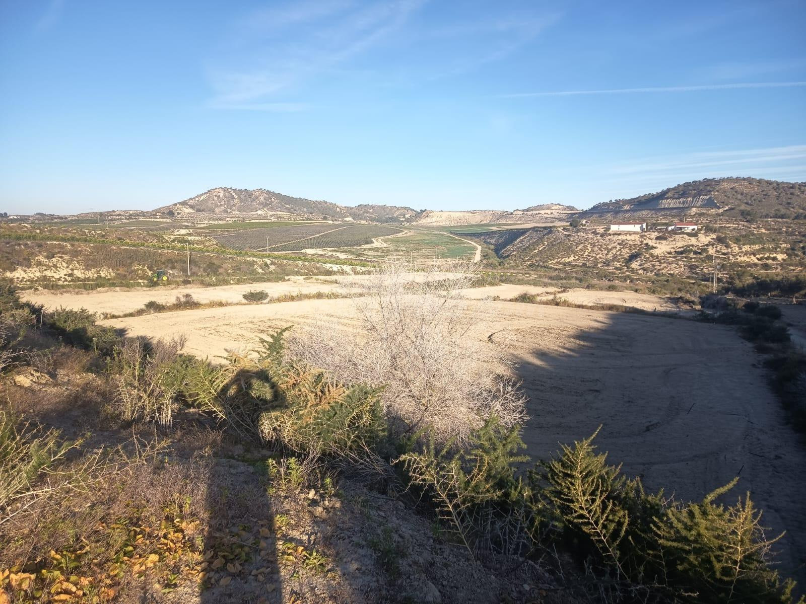 Gran terreno con almacén de 200m2 y vistas al embalse La Ped - foto 2