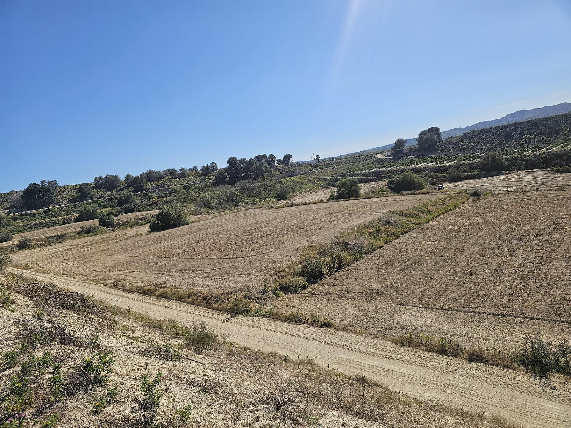 Gran terreno con almacén de 200m2 y vistas al embalse La Ped - foto 3