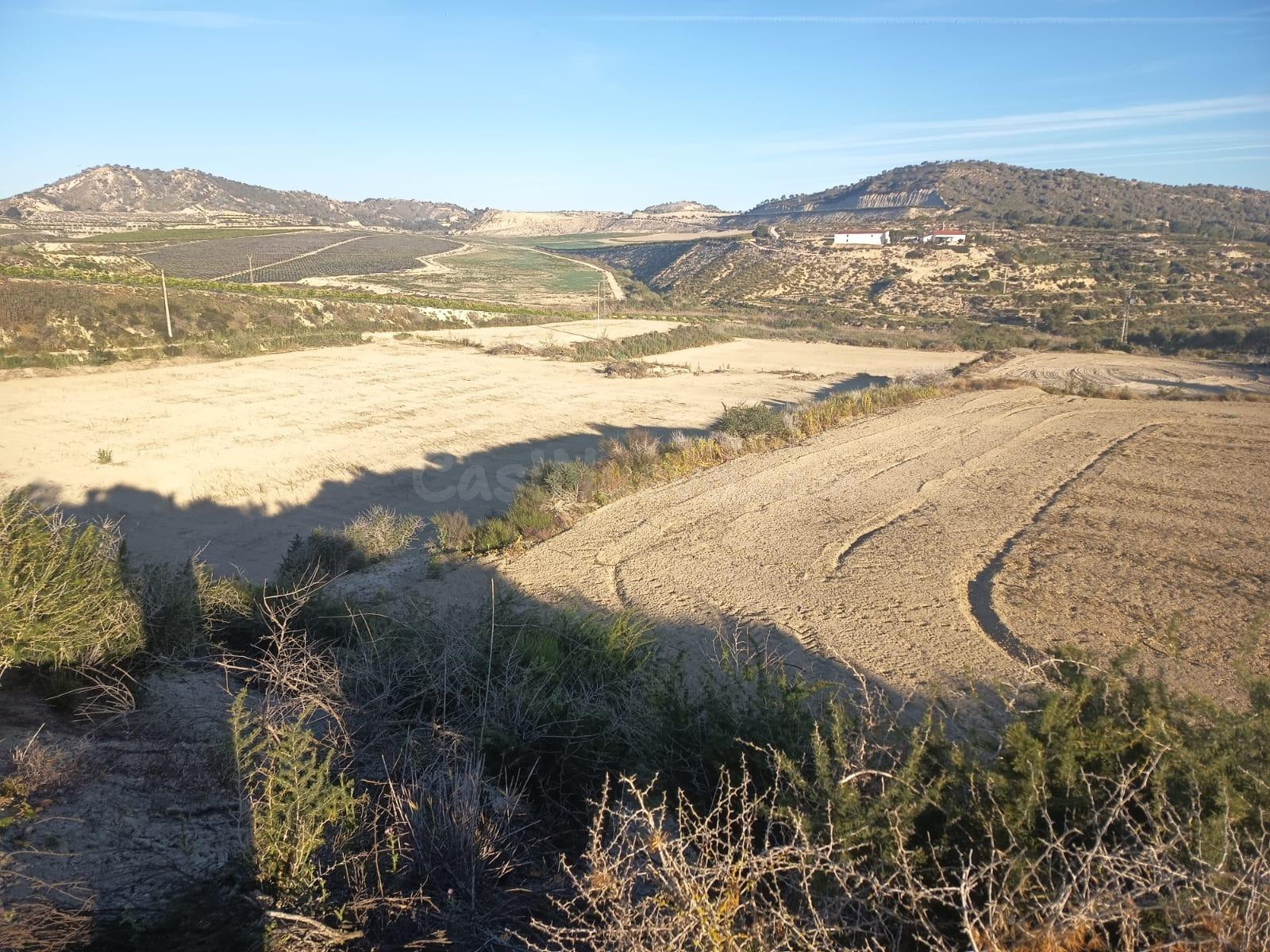 Gran terreno con almacén de 200m2 y vistas al embalse La Ped - foto 4