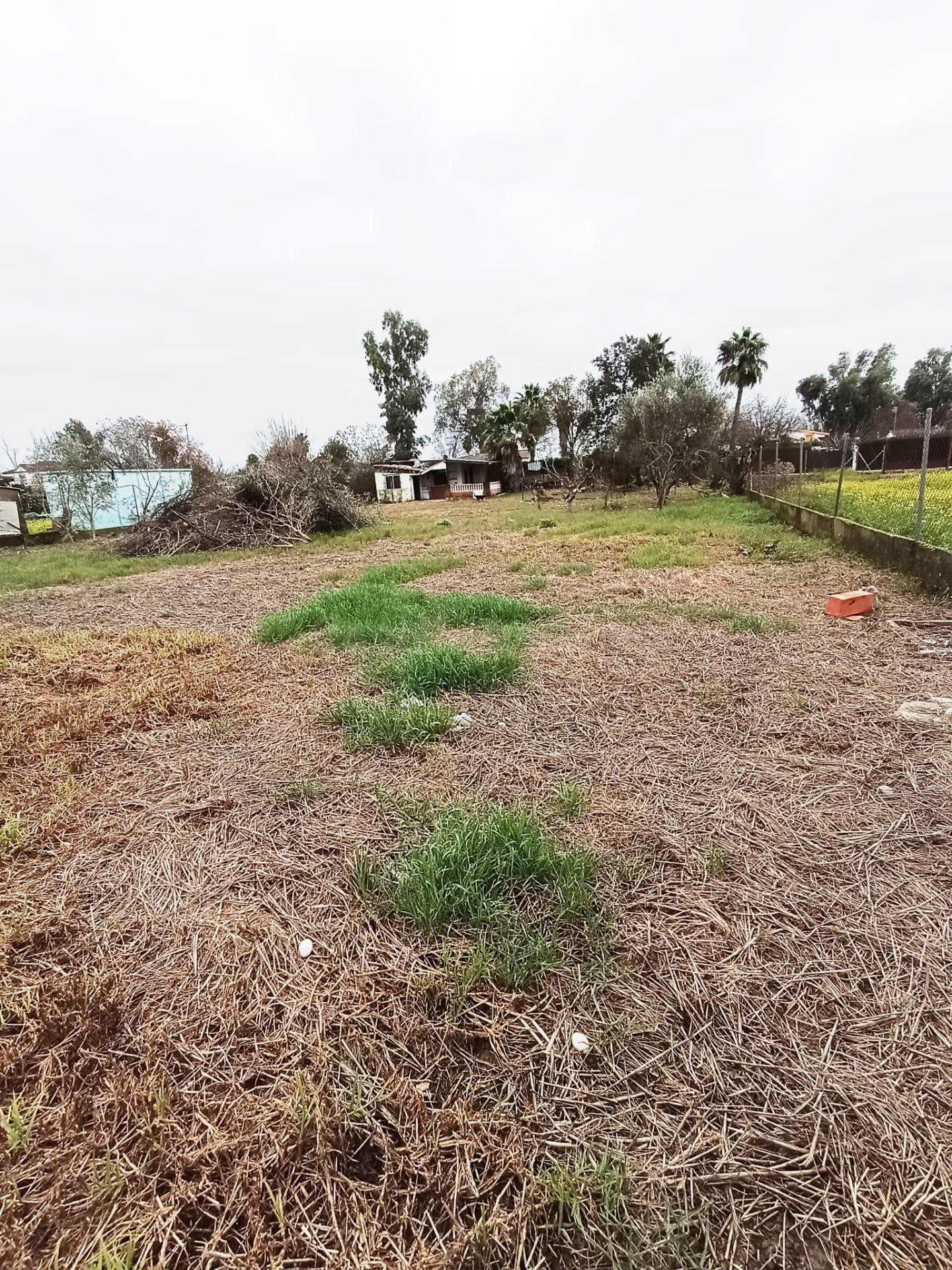 SE VENDE CASA CON TERRENO EN EL CORTIJO DEL ALAMILLO - VILLARRUBIA