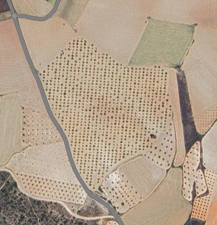 Finca Rústica Productiva con Pozo Legal y Placas Solares – N - foto 2