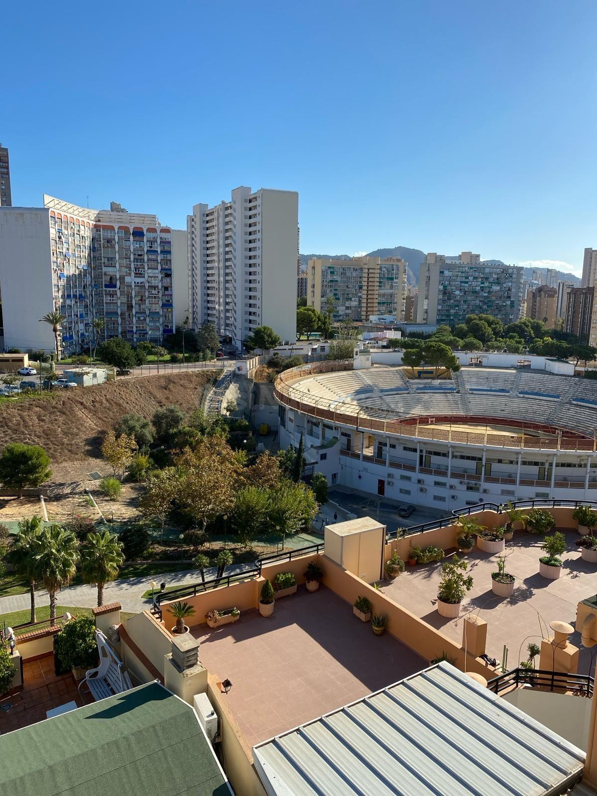 Ático/Piso en alquiler en Benidorm – Disponible desde el 15 de agosto / 1300€ X mes