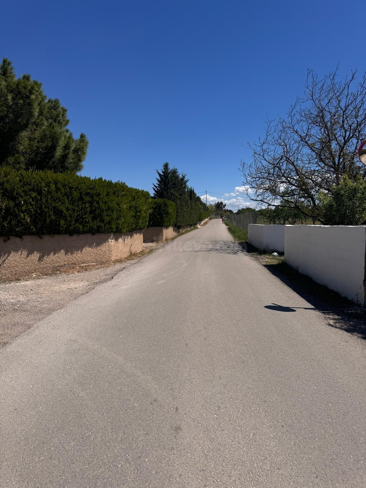 SE VENDE TERRENO EN CAMINO DEL MOLINICO