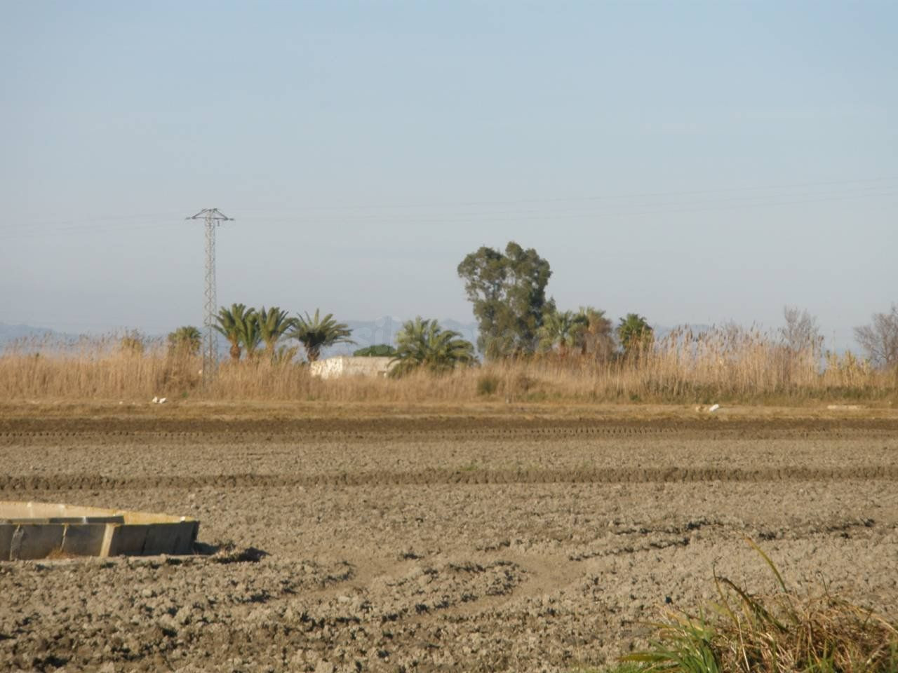 TIERRA DE ARROZ EN VENTA