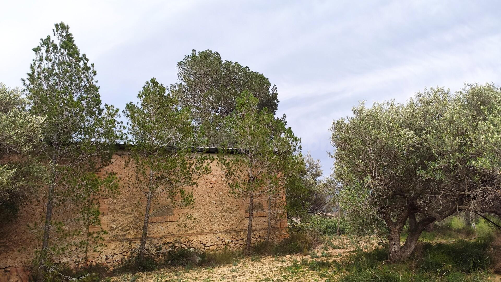 Venta de finca rústica en Xerta