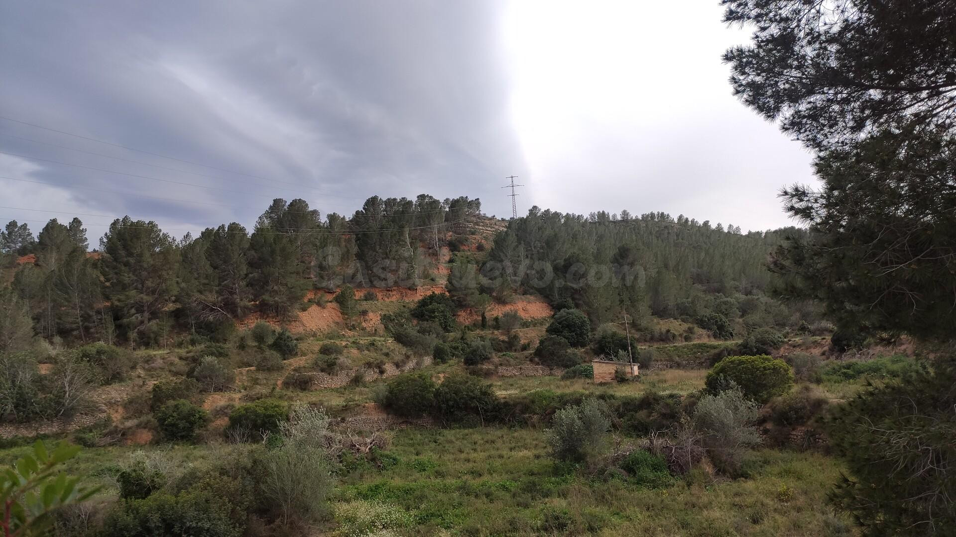 Venta de finca rústica en Xerta - foto 3