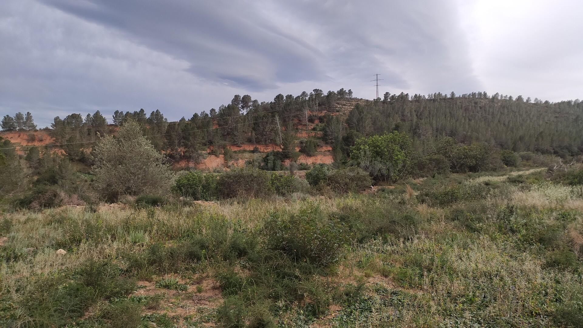 Venta de finca rústica en Xerta - foto 5