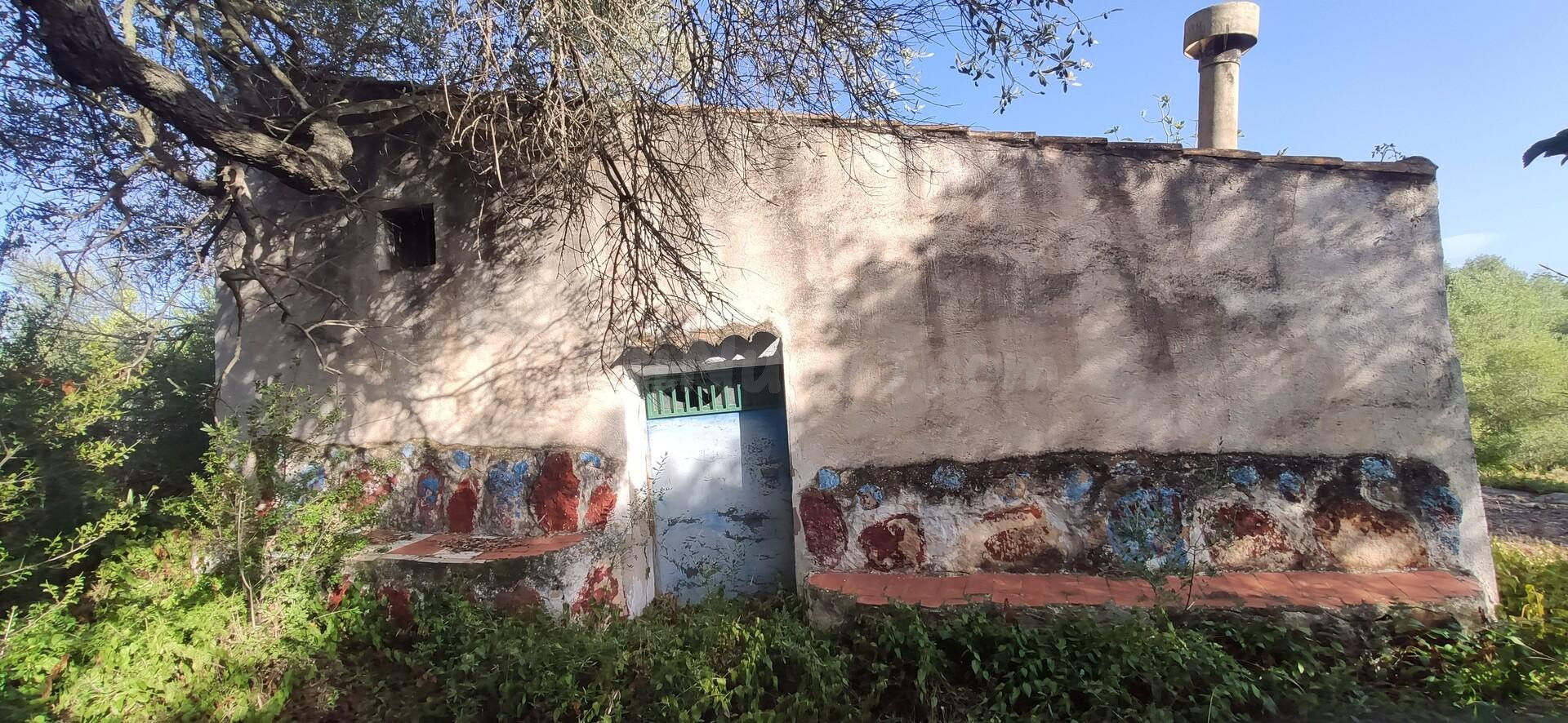 FINCA RÚSTICA CERCA DE LA POBLACIÓN DE AMPOSTA CON ANTIGUA EDIFICACIÓN