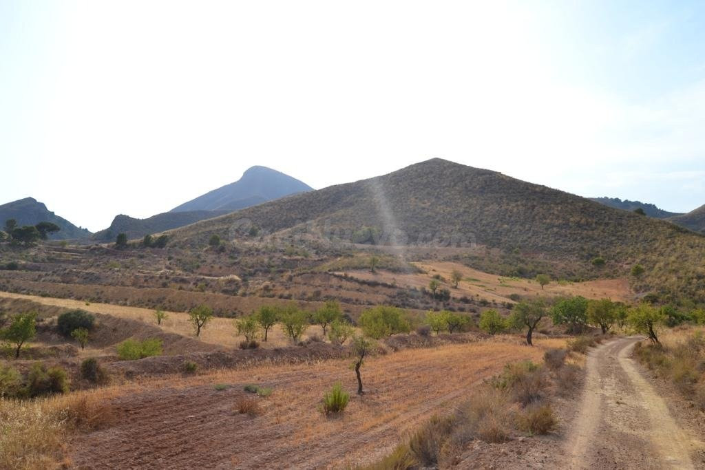 FINCA DE CULTIVO EN LA SIERRA DE ALMENARA