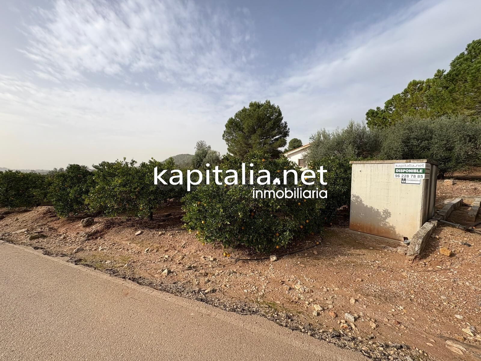 CAMPO DE NARANJOS A LA VENTA EN ROTGLA-CORBERA
