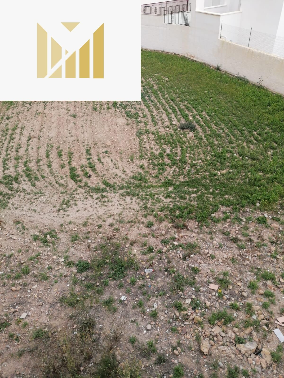 TERRENO URBANO EN DALIAS