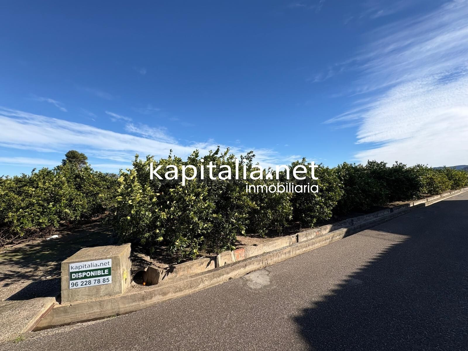 FINCA DE NARANJOS DE 18000MTRS EN PLENA PRODUCCION A LA VENTA CERCA DE XATIVA