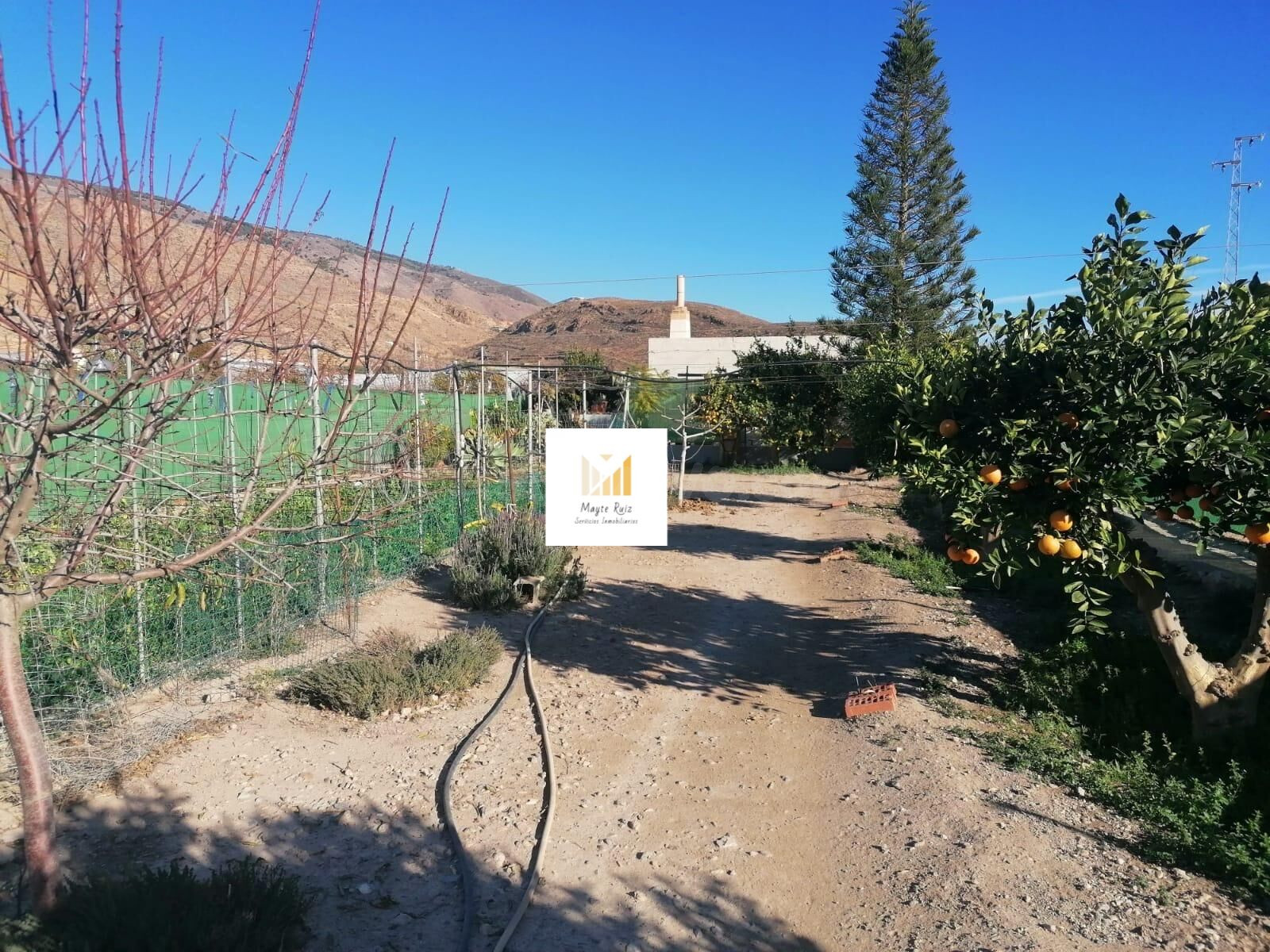 Cortijo con terreno