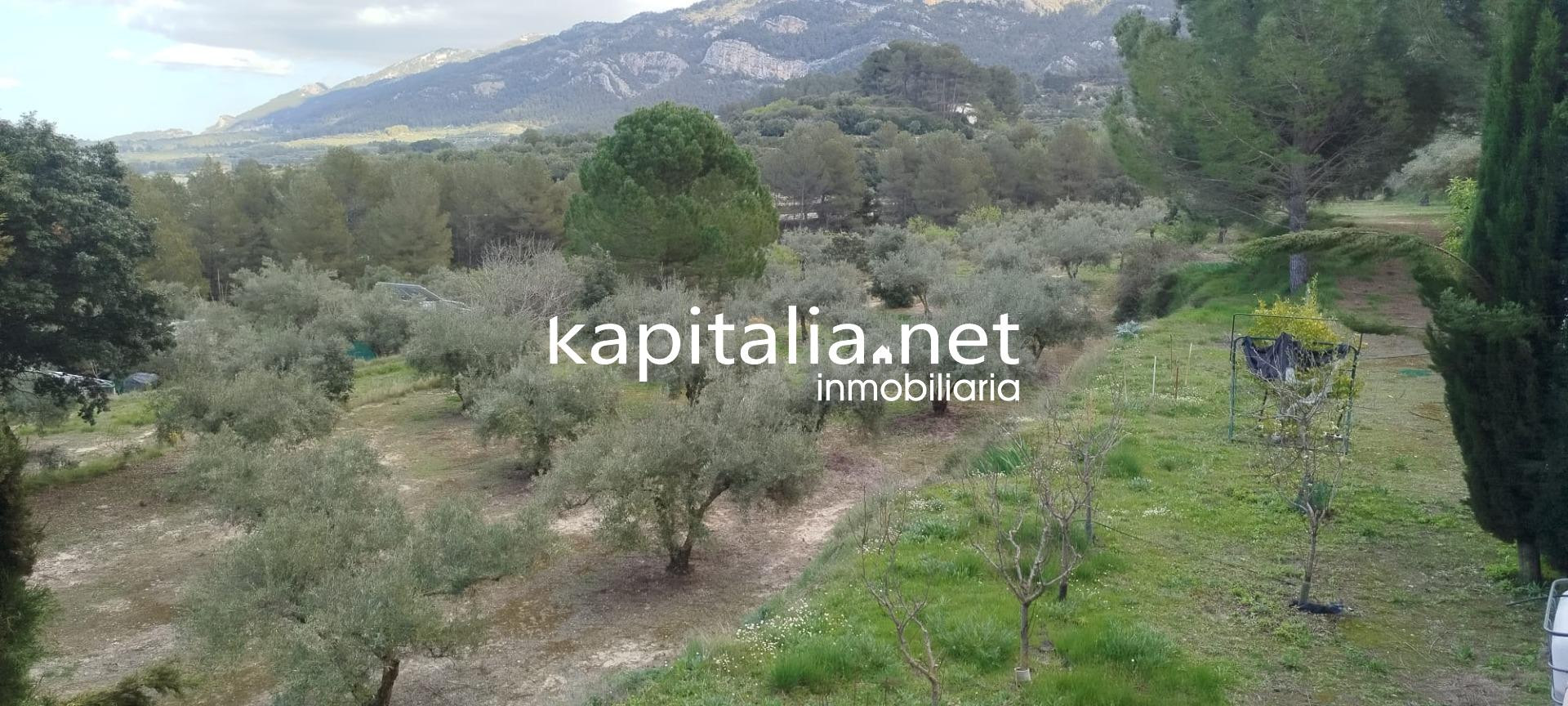 Terreno rústico en Sierra Mariola – Zona Els Alborets - foto 3