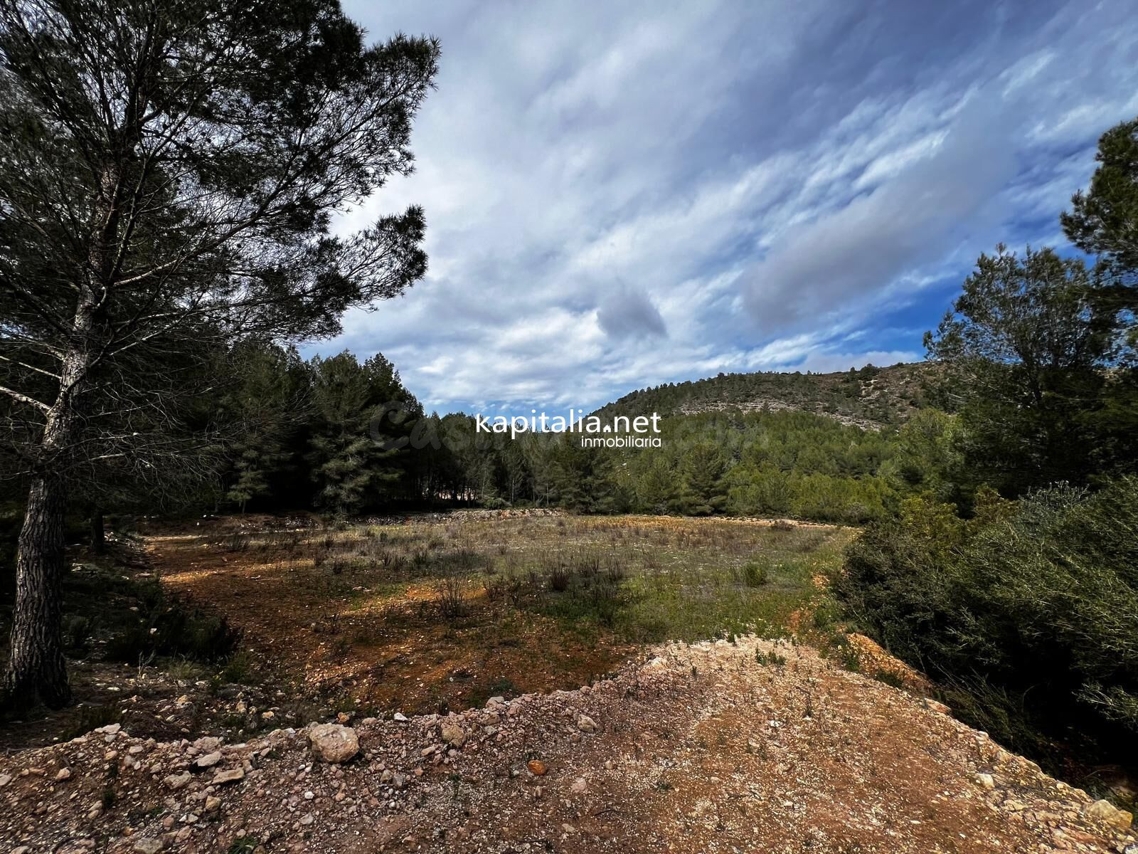 Terreno a la venta en Olleria