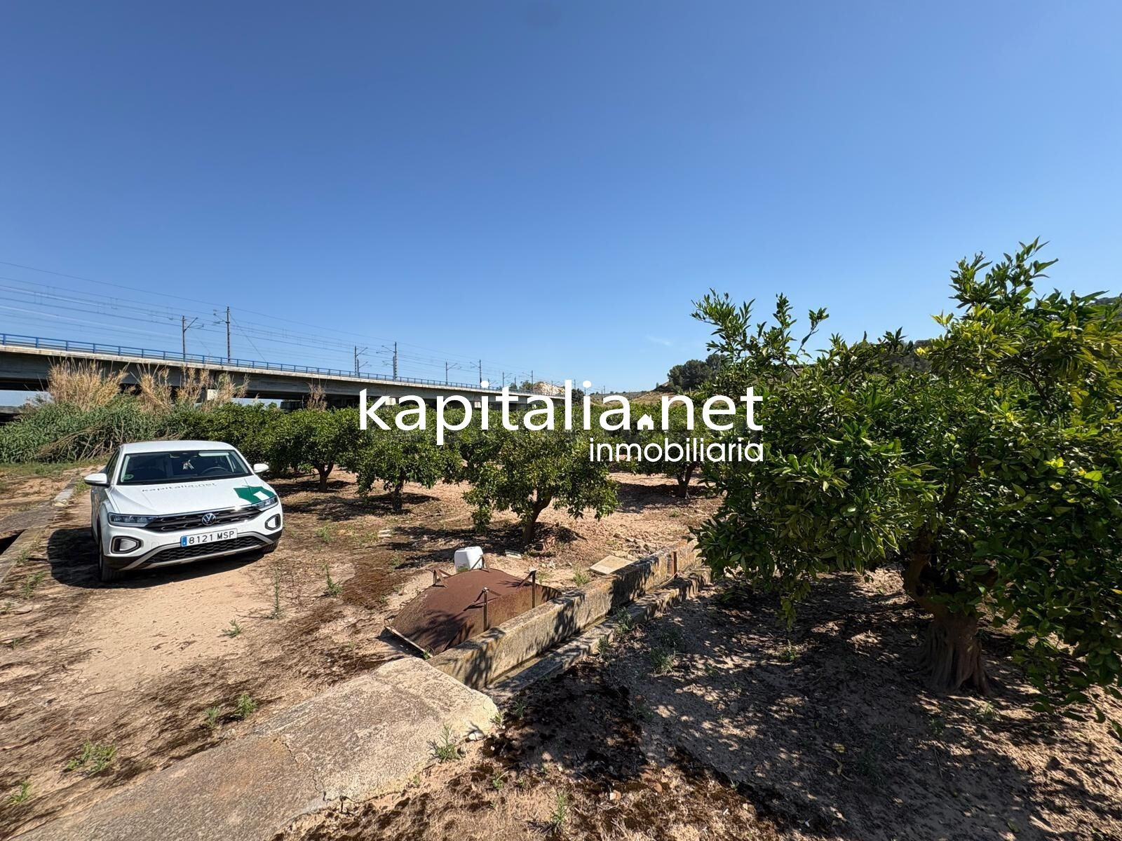 FINCA DE NARANJOS A LA VENTA EN XATIVA