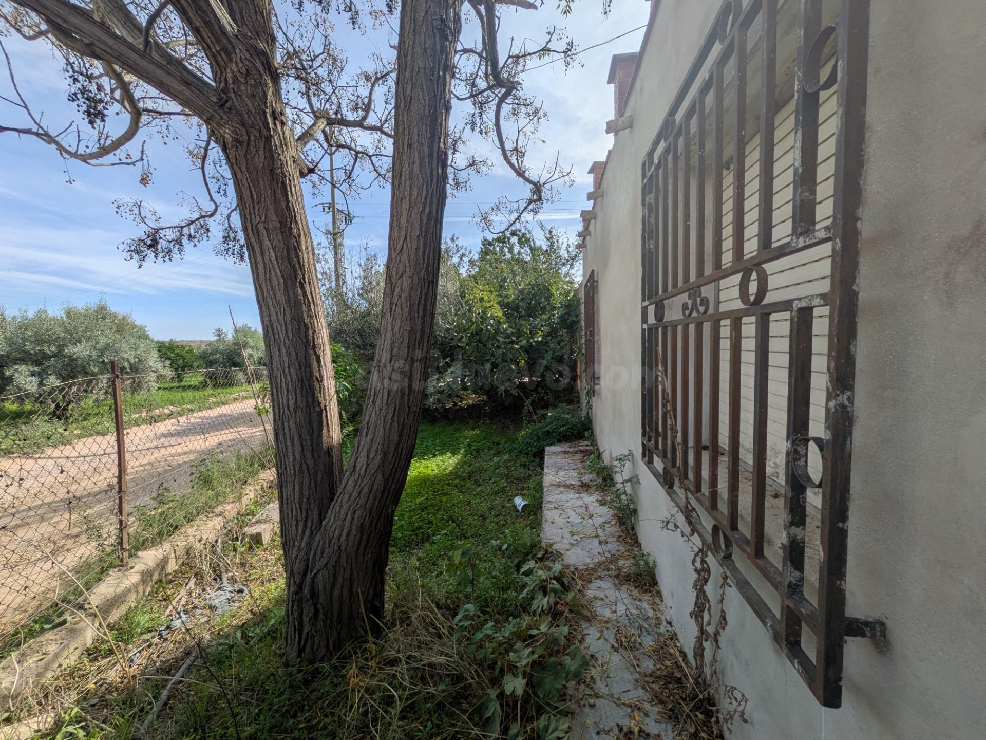Casa de Campo en Los Cánovas – Fuente Álamo